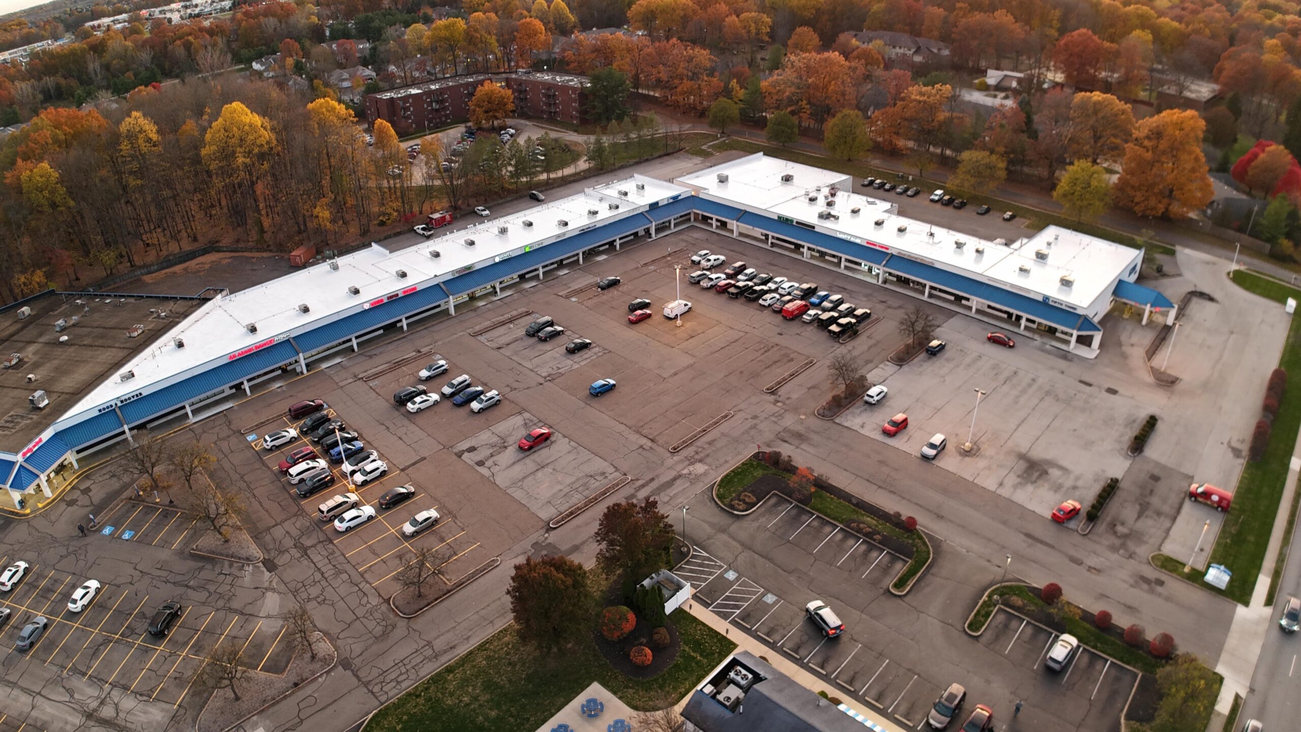 WhatsApp Image 2026-01-28 at 15.29.33 (4)